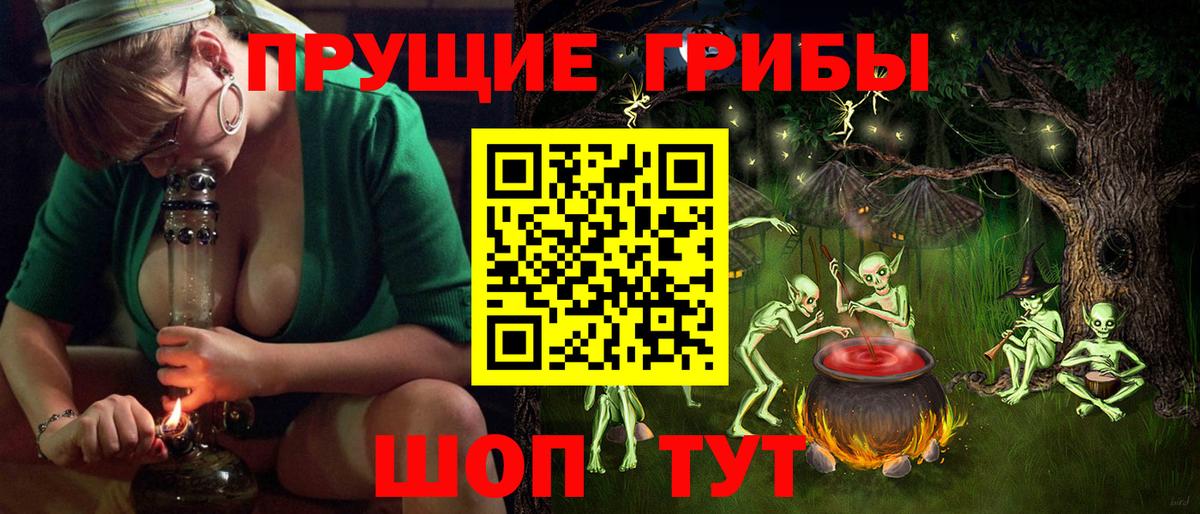 Тосно  Галлюциногенные грибы Magic Shrooms  Вход с VPN 