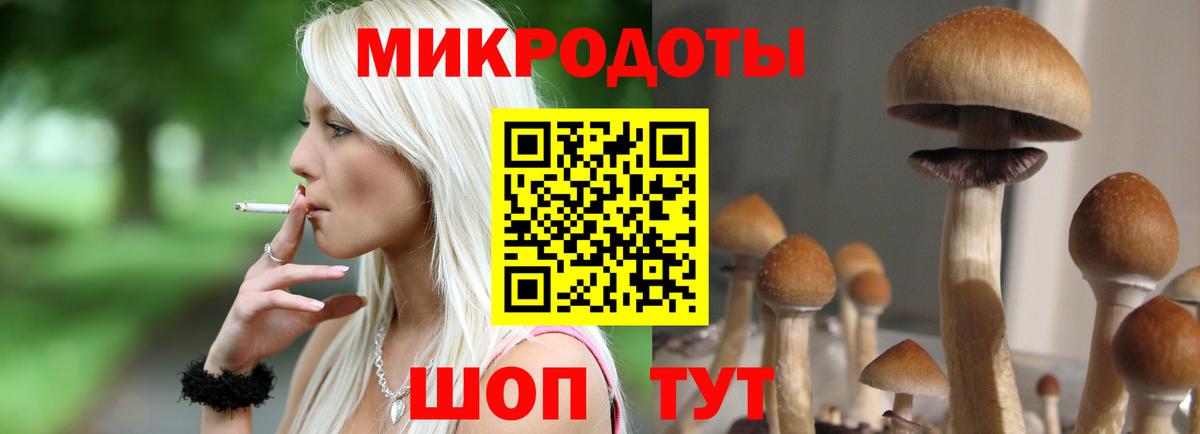 Псилоцибиновые грибы Psilocybe Тосно