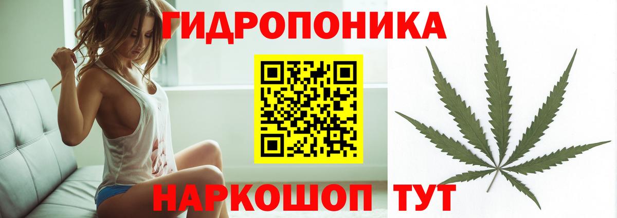 Бошки Шишки MAZAR Тосно